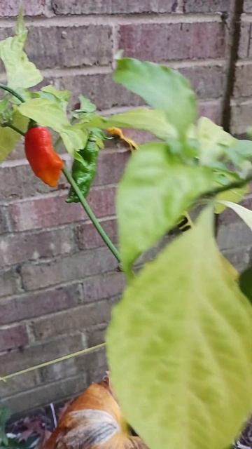 November 4, 2023 смотреть онлайн