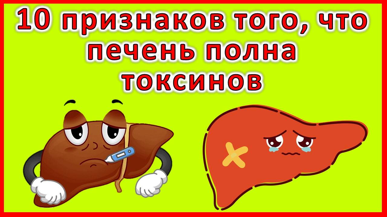 10 признаков того, что ваша печень переполнена токсинами: как распознать и что делать?