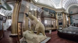 Музей Арктики и Антарктики