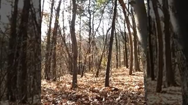 В Омске обнаружен призрак! смотреть онлайн