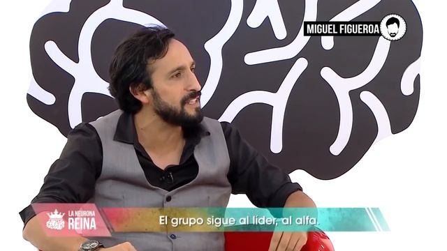 El éxito de NO rendirse con Marina Mora - MIGUEL FIGUEROA desde La Sachatribu смотреть онлайн