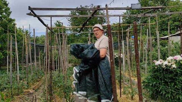 Защита растений в жару смотреть онлайн