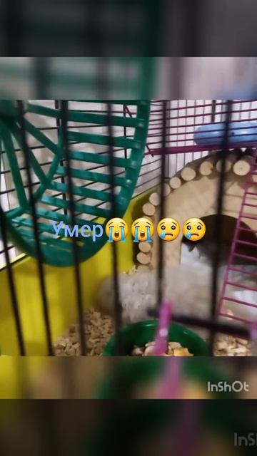 6 октября 2022 г. смотреть онлайн