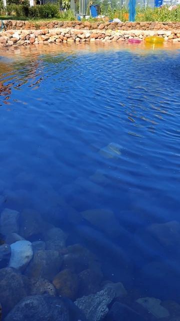 Строительство пруда | садовый прудик | пруд для дачи смотреть онлайн