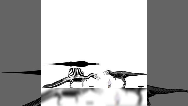 Spinosaurus And Bistahieversor Size Comparison смотреть онлайн