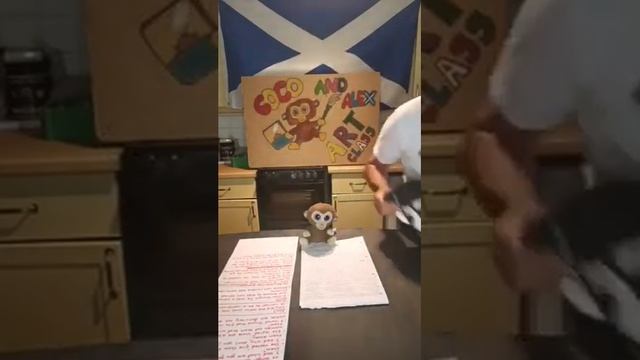 41ST SHOW .COCO,ALEX AND MONO GO EURO FOOTBALL MAD. EURO 2021 COCO AND ALEX SHOW🙈🐵🥇 смотреть онлайн