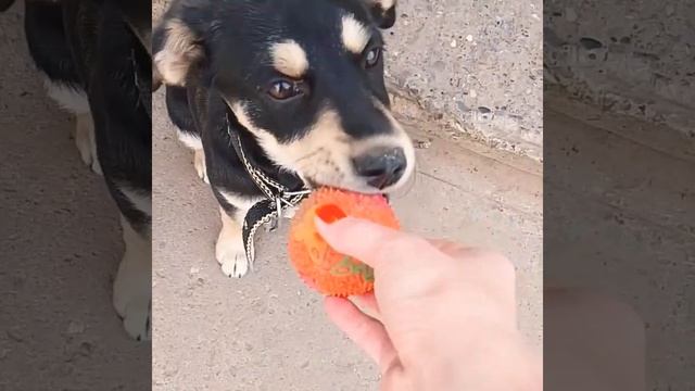 Астрахань #новый постоялец 🙂 смотреть онлайн