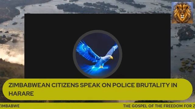ZIMBABWEAN CITIZENS SPEAK ON POLICE BRUTALITY IN HARARE смотреть онлайн