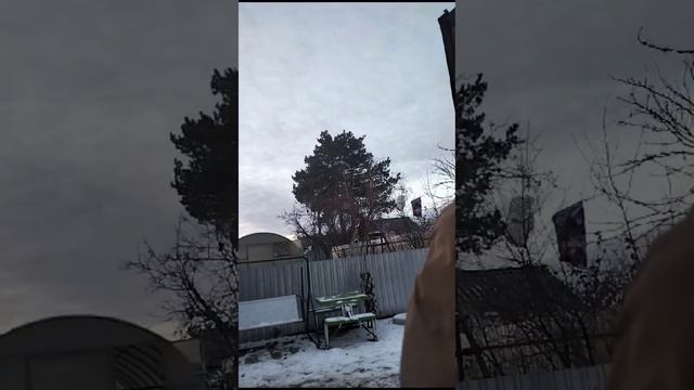Пародия на батька смотреть онлайн