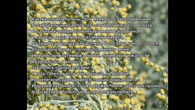 Mysterious Tropical Plants