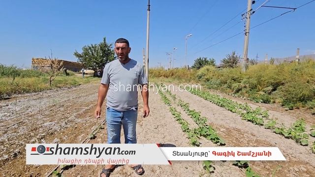 «Վայ չինովնիկների» անմարդկային վերաբերմունքի պատճառով Սուրենավանում բերքն ավիրվել է смотреть онлайн