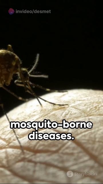 Mosquito Menace A Deadly Bite #animals #shorts #facts смотреть онлайн