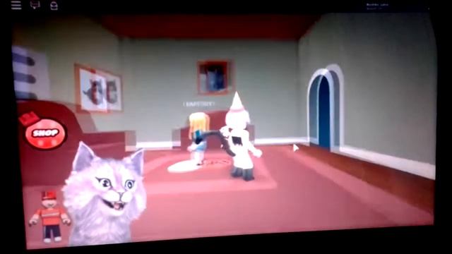 Кошка Лана. смотреть онлайн