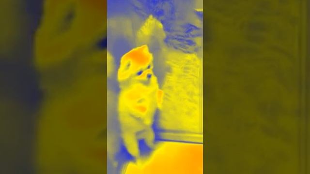 ьстстссьалстсь смотреть онлайн