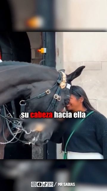 La Mujer se Acerca al Caballo y Tiene una Conexión Especial con El #Shorts смотреть онлайн