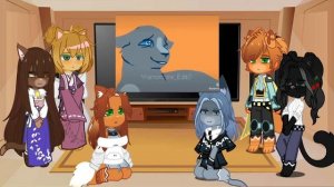 Реакция котов воителей на видео 2/??