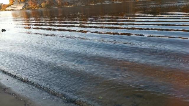 VID_20241017_162849.mp4 смотреть онлайн