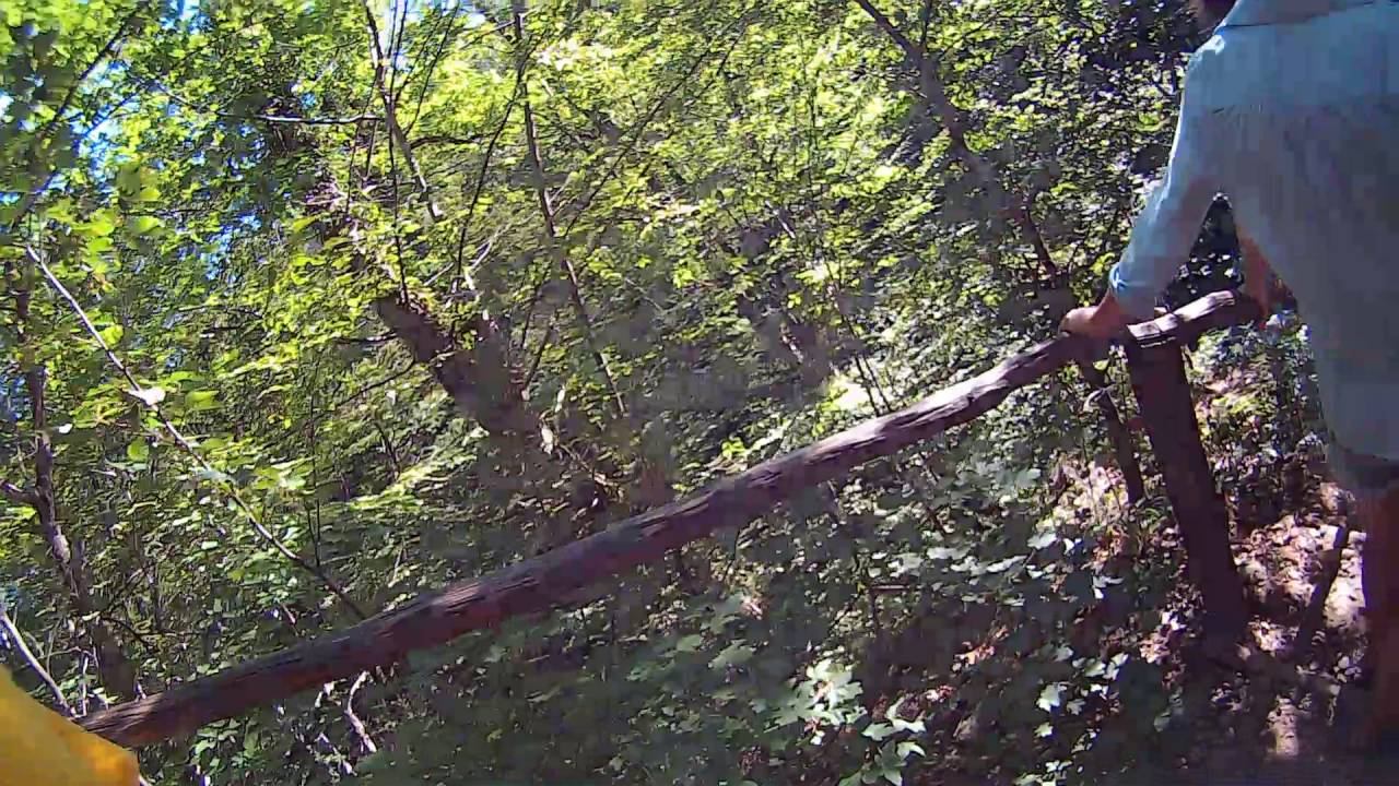ката СК "БУДО" техника каратэ смотреть онлайн