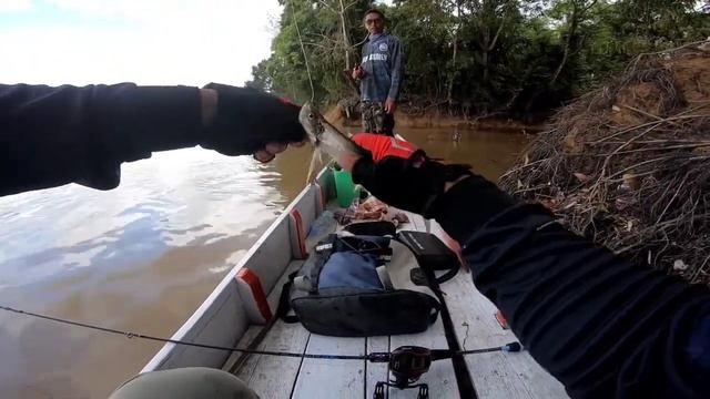 Tiap spot mancing disini ada ikannya! смотреть онлайн
