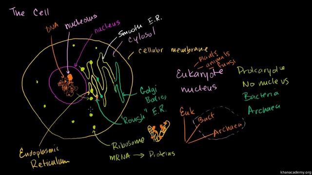 Bahagian-bahagian Sel смотреть онлайн