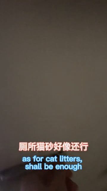 Shanghai lockdown difficult time- no where to get cat food and cat litters смотреть онлайн