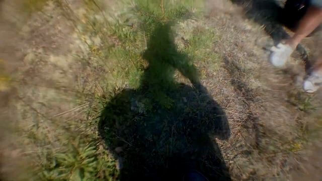 Salticidae - Gdzie szukać Skakunów? Wrzosowisko - Poradnik cz.2 смотреть онлайн