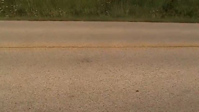 Ben Grizzly 046 смотреть онлайн