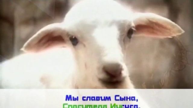 Мы славим Бога смотреть онлайн