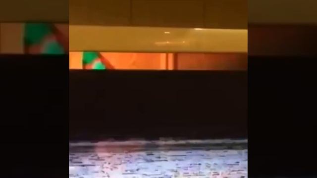 Маленькая Полина Гагарина поет смотреть онлайн