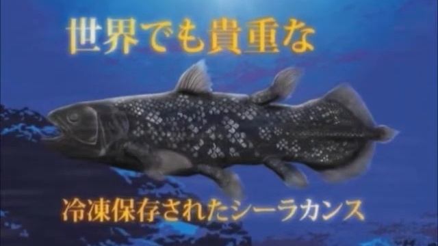 HMN CM смотреть онлайн