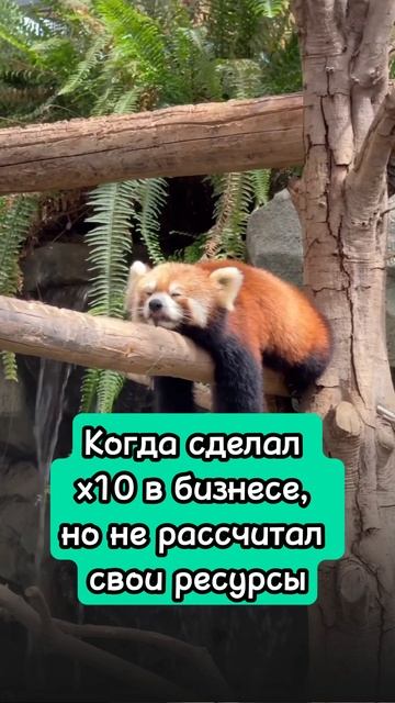 Когда сделал х10 в бизнесе, но не рассчитал  свои ресурсы