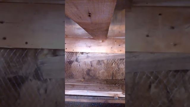 Делаю крышу клетки в яме... Реконструкция 4 смотреть онлайн