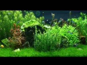 СПОКОЙНАЯ МУЗЫКА ДЛЯ СНА КАК УСНУТЬ ЛЕЧЕБНАЯ МУЗЫКА 2021 №1