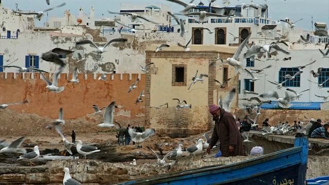 Relaxing Urban Ambient Sounds | White Noise | Seagulls in an Oriental Harbour смотреть онлайн