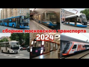 Сборник Московского транспорта 2024