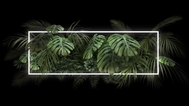Tropical plant with neon light смотреть онлайн