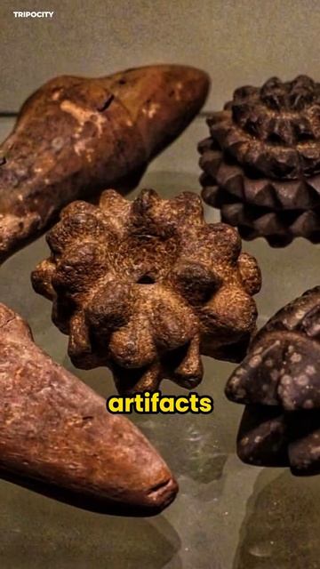 Epic Relics: Skara Brae, Scotland #shorts #skarabrae смотреть онлайн