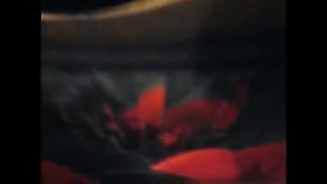 Мартышка убила мой пинал. смотреть онлайн