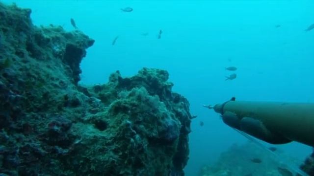 barracuda 13 1 2012 смотреть онлайн