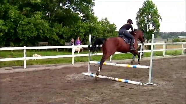 Little Sinclair смотреть онлайн