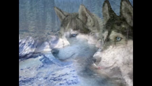 Собаки самые классные смотреть онлайн