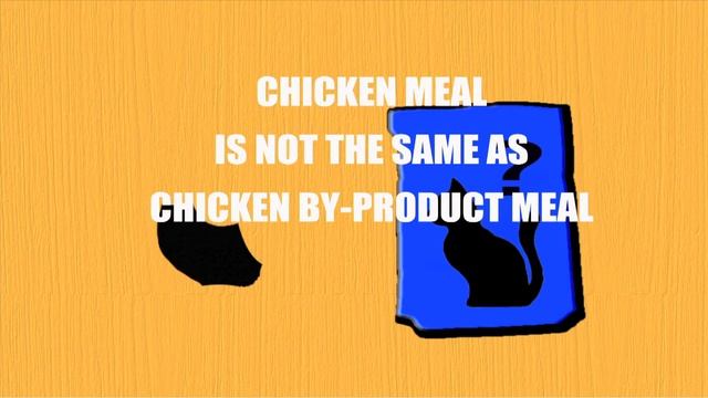 How To Choose A Good Food For Your Cat смотреть онлайн