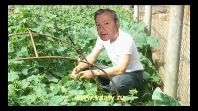 Йося смотреть онлайн
