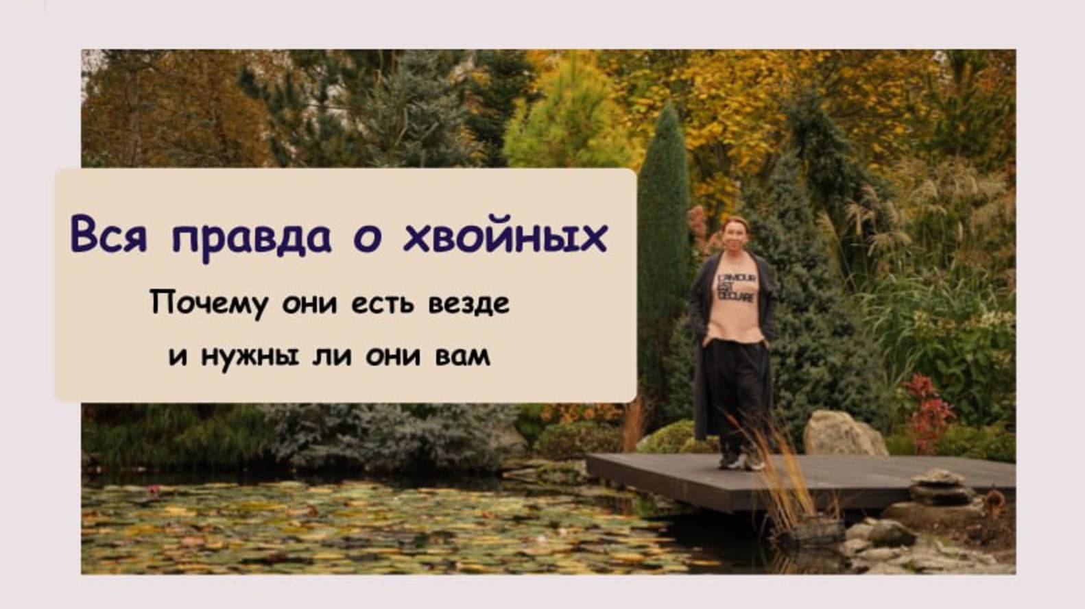 ВСЯ ПРАВДА О ХВОЙНЫХ: почему они есть везде и нужны ли они вам смотреть онлайн