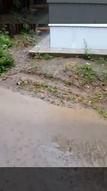 V70729 172014 смотреть онлайн