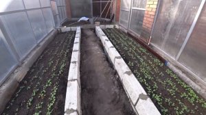 строим высокие грядки из блоков