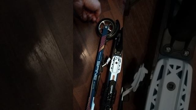 Лыжероллеры зимой фиаско.