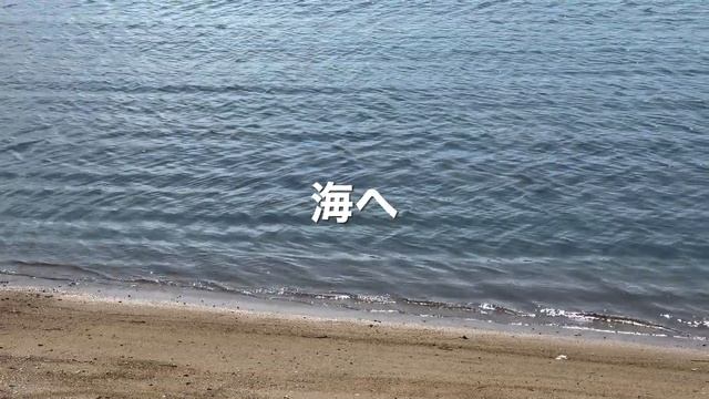 トミーズ雅さんの別荘に呼ばれた！【夏のVLOG】