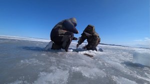 Очень интересная рыбалка, ловить краба из подо льда.