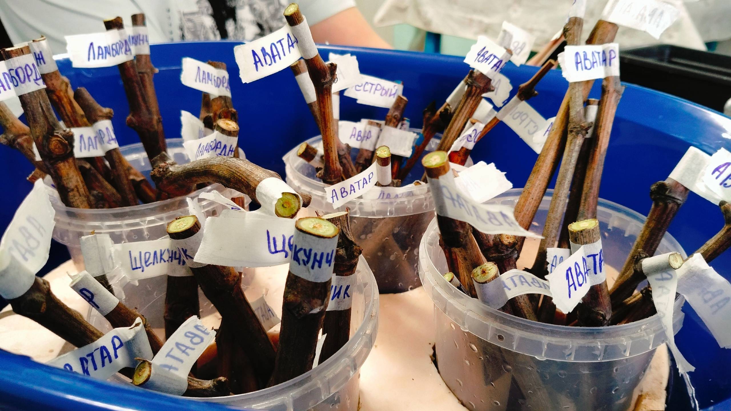 Планы меняются ежеминутно.Мой маленький плот.Загадываю желания. смотреть онлайн